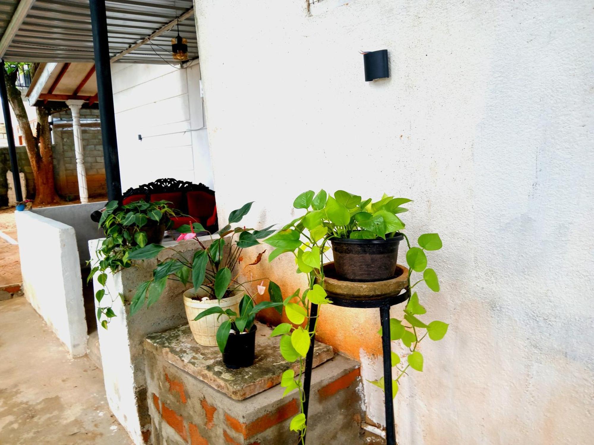 Fly Infinity - Home Stay Kandy Exterior photo