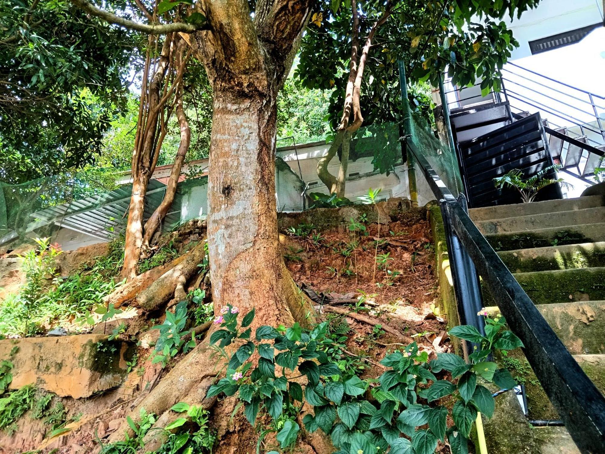 Fly Infinity - Home Stay Kandy Exterior photo