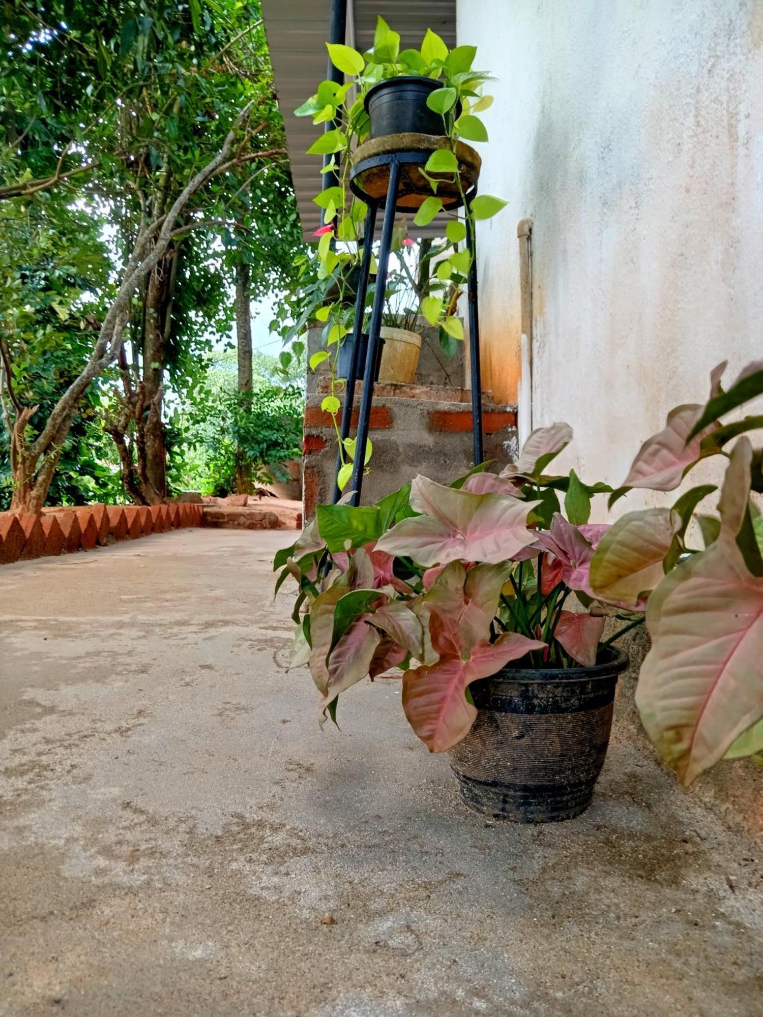 Fly Infinity - Home Stay Kandy Exterior photo